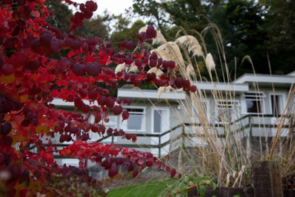 The Arran Lodge & Arran Sleep Huts Lamlash Kültér fotó
